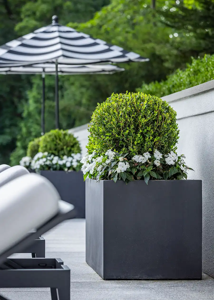 rxr-plaza-commercial-landscape-architect