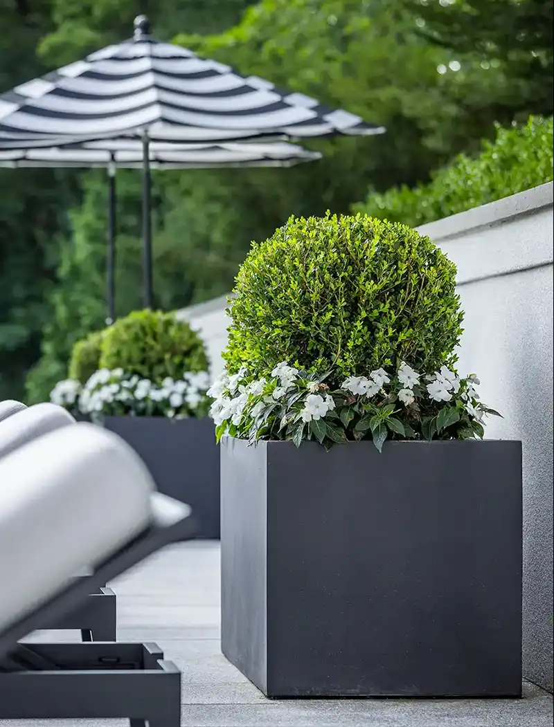 Black planter boxes at pool side