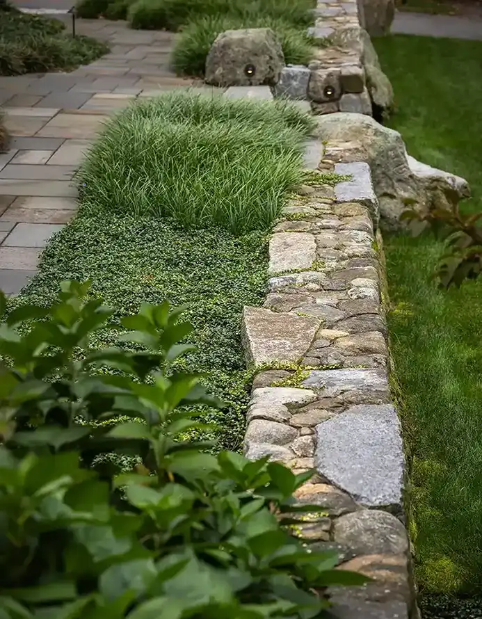 japanese-maple-lighting Variety of green plants against stone wall