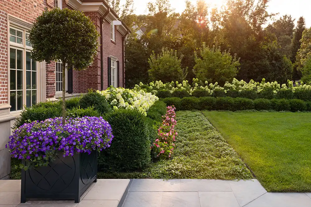 evergreen-hedging-landscape-architect-boston-ma