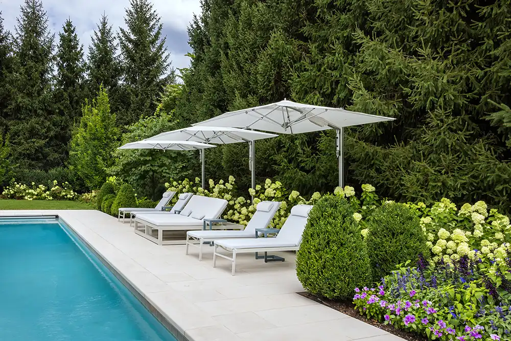 hydrangeas-boxwood-poolsie-landscape