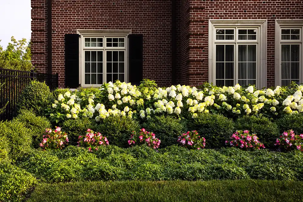 landscape-architect-residential-home