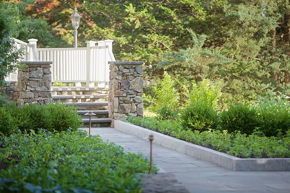 ground cover surrounding walkway to stairs